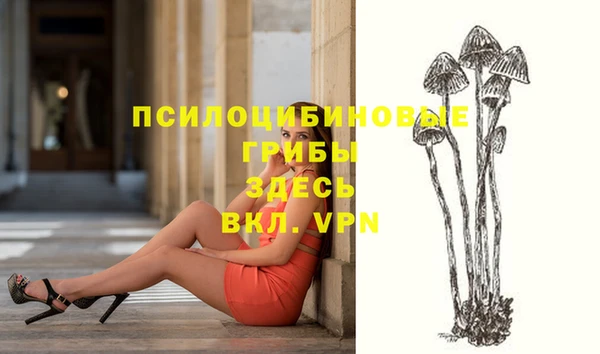 шишки Вязьма