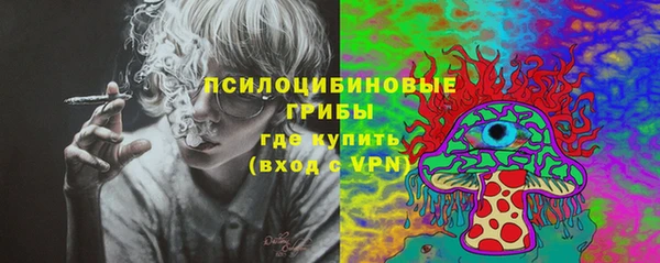 соль курить ск Вяземский