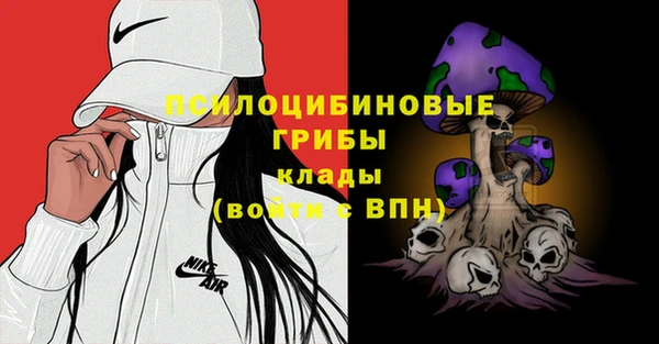 соль курить ск Вяземский