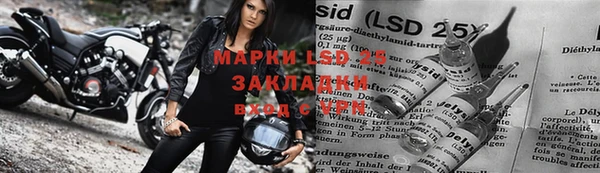 шишки Вязьма