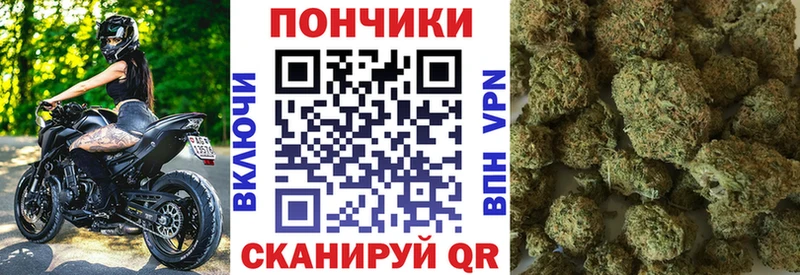 Каннабис гибрид  Гусиноозёрск 